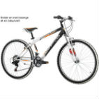 VTT SHARK 26 H